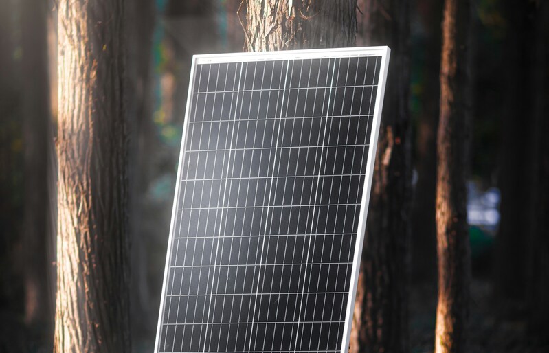 newpowa-ZC4UmkQpMJM-unsplash (1) (1)